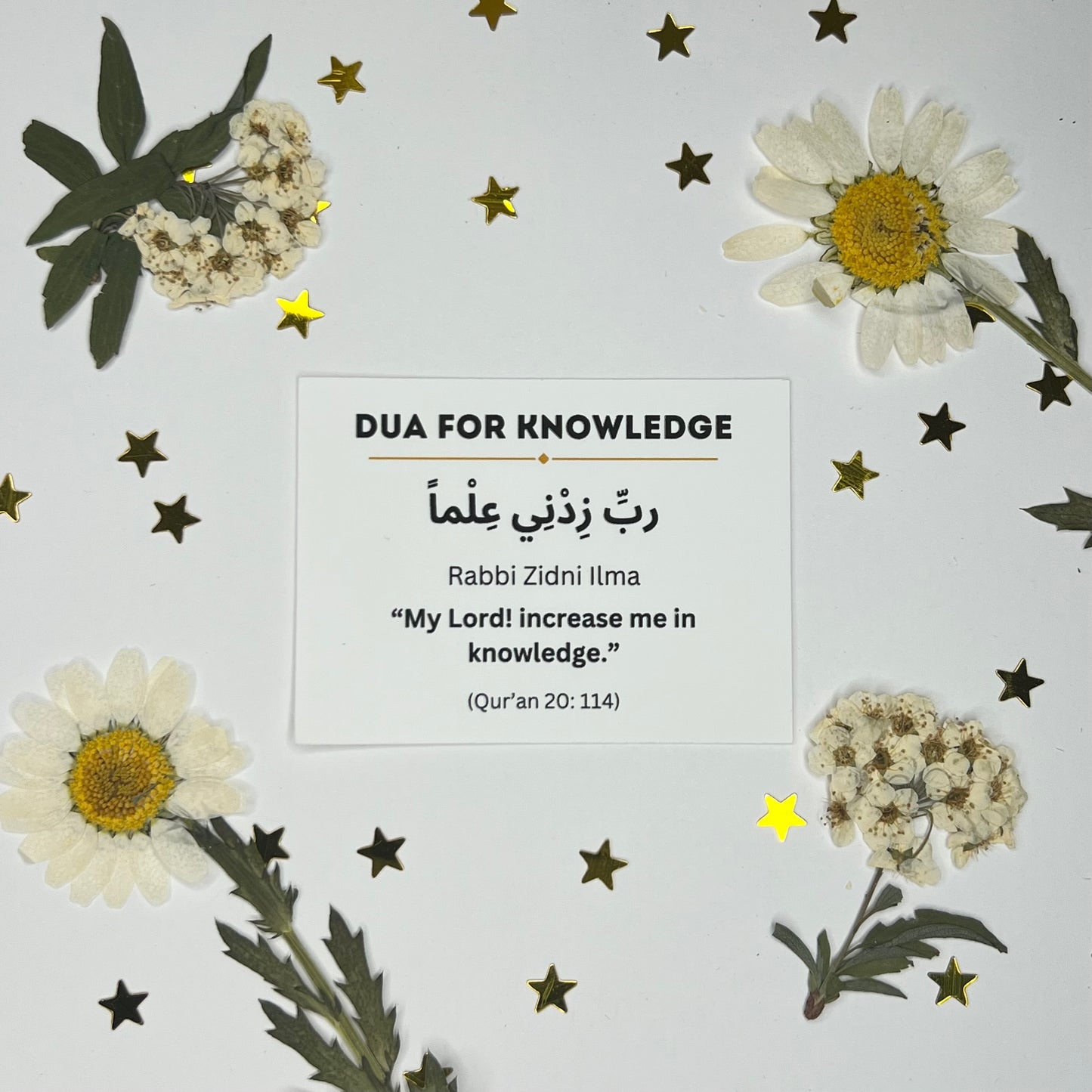 Dua for Increase in Knowledge Sticker (DISCOUNTED AT CHECKOUT)